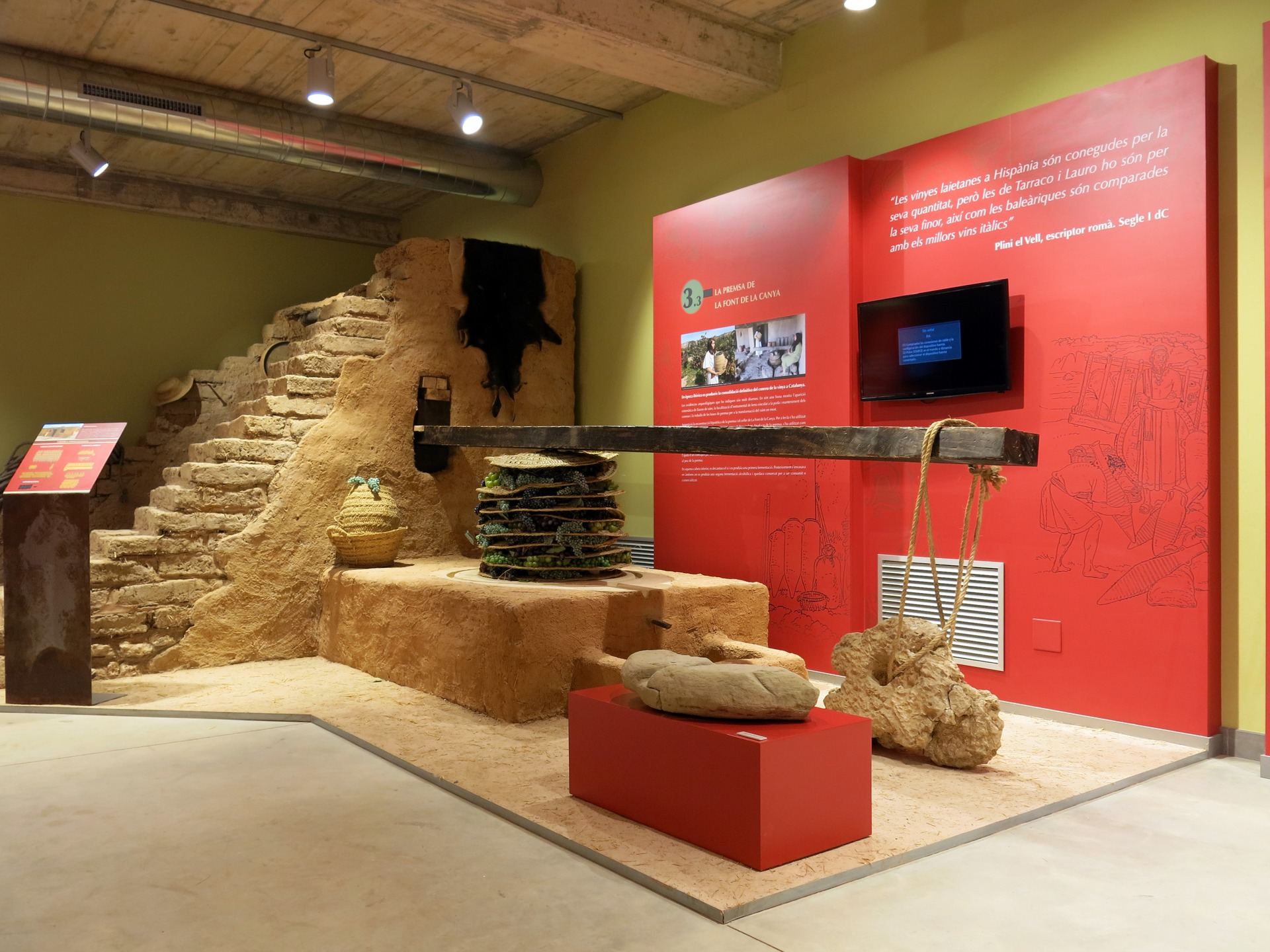 Reconstrucció del celler i la premsa, vista general · DO Vinífera · Avinyó Nou