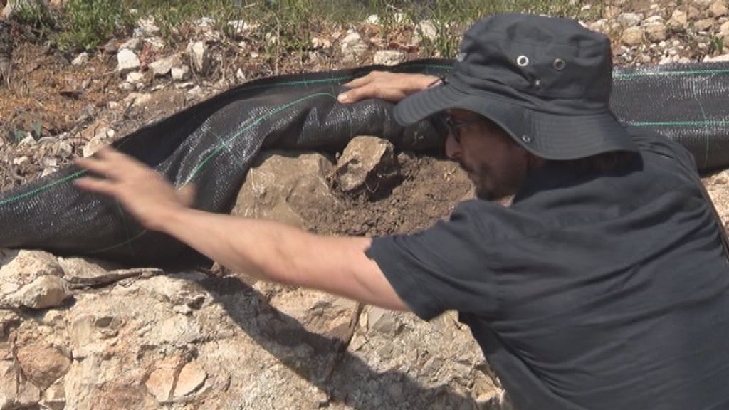 Els primers resultats de Puig Pelós