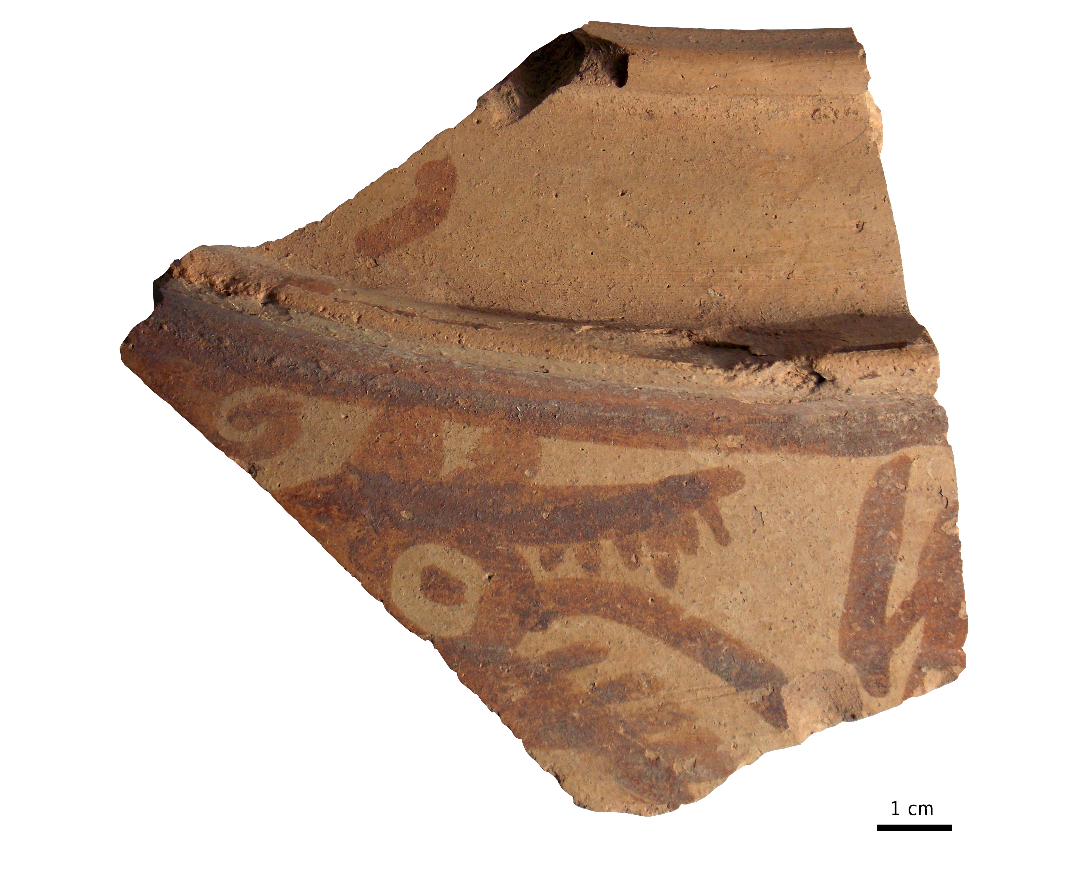 Fragment de tenalla de ceràmica ibèrica del Corral del Castell de Cunit amb el cap pintat d’un probable llop