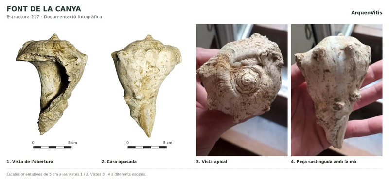 Quatre vistes de la closca de l’estructura 217 de la Font de la Canya