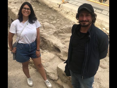 Un celler abans de la fil·loxera