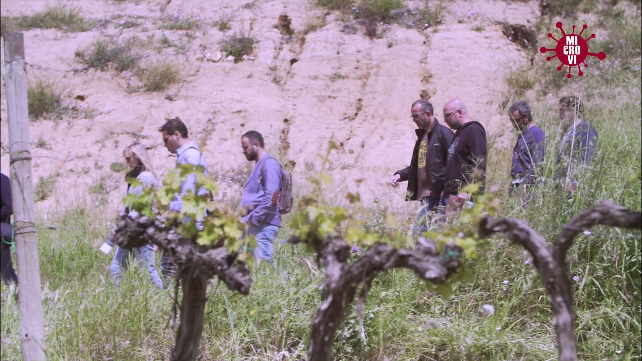 Les àmfores de la Font de la Canya